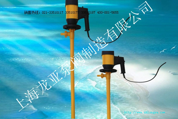 HD系列插桶泵,無軸封插桶泵,可調速插桶泵,電動抽液泵