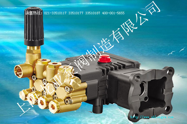 LYMV�߉�������,������,�߉�������